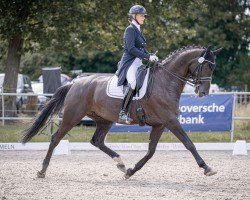 dressage horse Nouvelle Vie (Westphalian, 2016, from Negro)