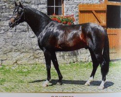 stallion Courtier (Oldenburg, 2010, from Conthargos)