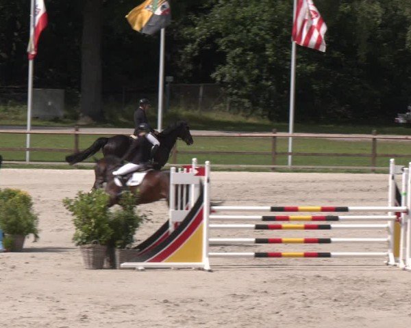 Reitturnier Luhmühlen 2024