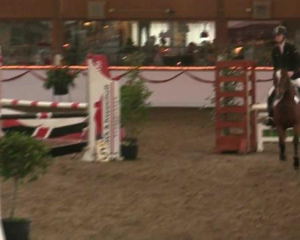 Hallen-Reit- und Springturnier des RV Suedlohn-Oeding für Ponys und Großpferde 2012
