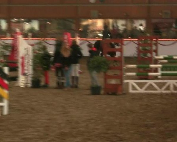 Hallen-Reit- und Springturnier des RV Suedlohn-Oeding für Ponys und Großpferde 2012
