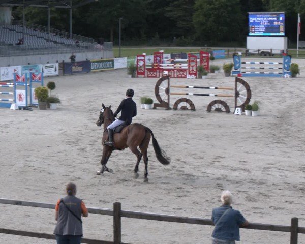 Reitturnier Luhmühlen 2024