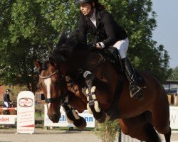 jumper Gräfin of Conthargos (Oldenburg show jumper, 2019, from Conthargos)