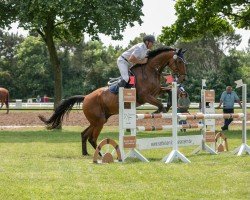 jumper Charly M 4 (Hanoverian, 2014, from Cantolar)