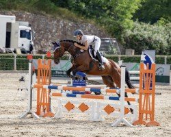 jumper Wings of Hope (German Sport Horse, 2016, from Osharin's Peron)