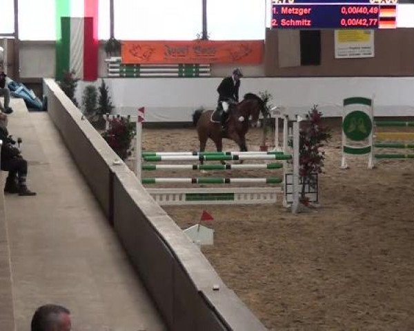 20. Winter Hallen Reit- und Springturnier RFV Alt-Marl 28.-30.12.2012