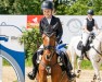 dressage horse D'Agostini (German Riding Pony, 2012, from Dimension AT NRW)