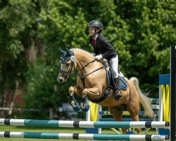 dressage horse Raphaela (Welsh-Pony (Section B), 2019, from Maarlen's Romeo)