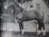 stallion Duft II (Hanoverian, 1958, from Duellant)