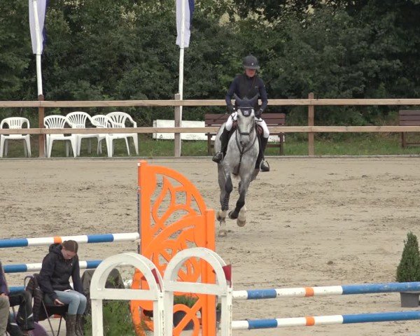 Reitturnier Scharnebeck 2024