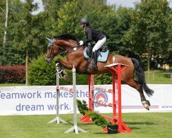 jumper United NT (Oldenburg show jumper, 2015, from Udarco van Overis)