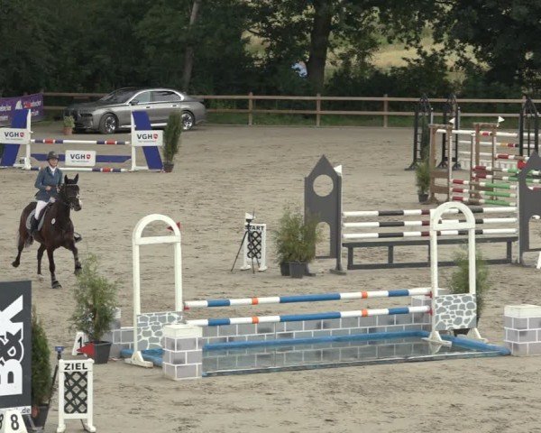Reitturnier Scharnebeck 2024