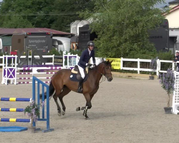 Reitturnier Sauldorf-Boll 2024