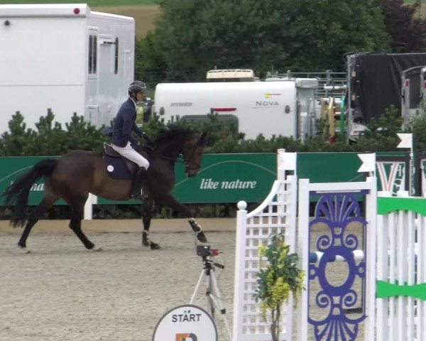 Reitturnier Sauldorf-Boll 2024