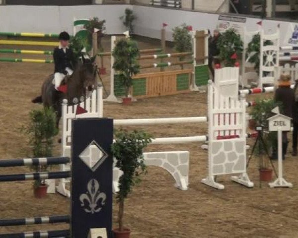 20. Winter Hallen Reit- und Springturnier RFV Alt-Marl 28.-30.12.2012