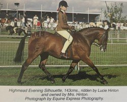 Zuchtstute Highmead Evening Silhouette (British Riding Pony, 2000, von Yealand Night Echo)