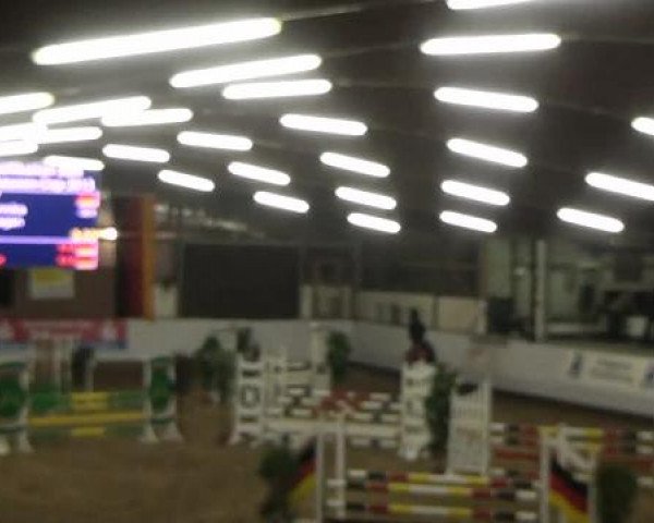 20. Winter Hallen Reit- und Springturnier RFV Alt-Marl 28.-30.12.2012