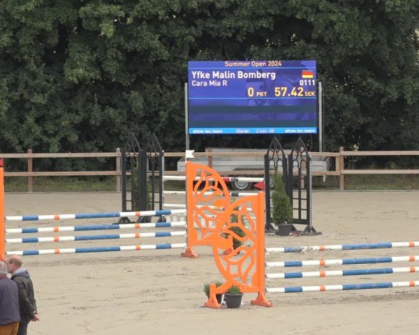 Reitturnier Scharnebeck 2024