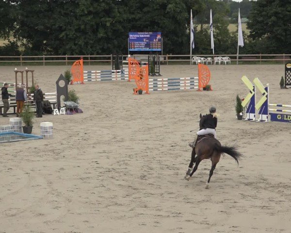 Reitturnier Scharnebeck 2024