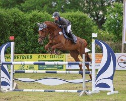 jumper Lady Emerald Dl (Holsteiner, 2018, from I'm Special de Muze)