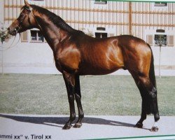 stallion Saami xx (Thoroughbred, 1994, from Tirol xx)