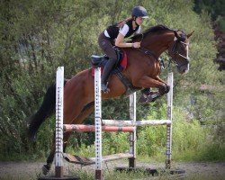 horse Fairytale of Fire (Austrian Warmblood, 2017, from Fit for Fun)