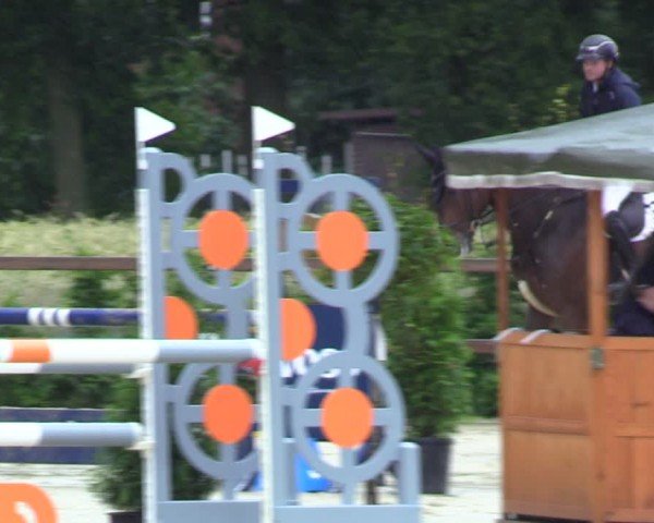 Reitturnier Metelen 2024