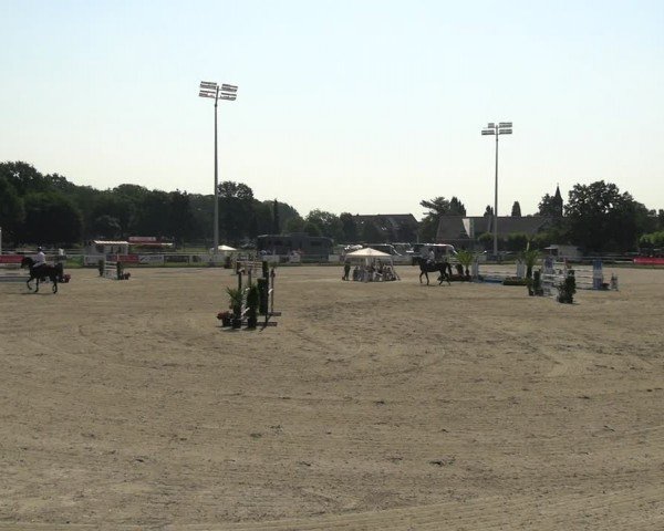 Reitturnier Langenfeld 2024