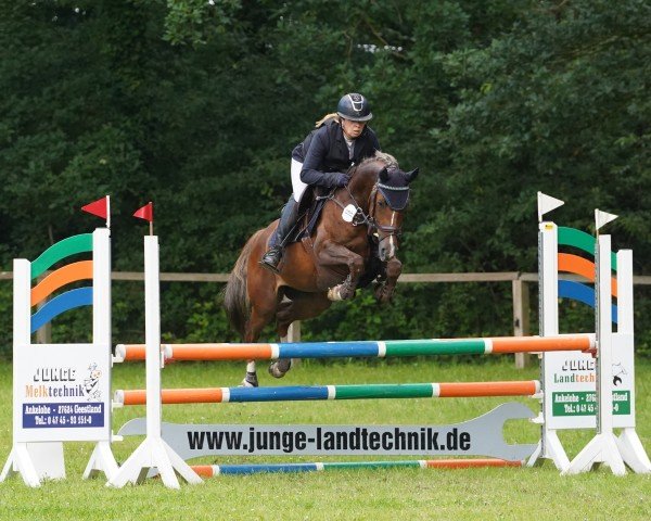 jumper Billy the Kid GF (German Riding Pony, 2018, from Baccarat)