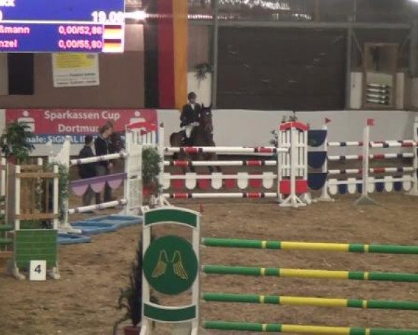 20. Winter Hallen Reit- und Springturnier RFV Alt-Marl 28.-30.12.2012