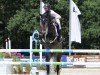 jumper Cajero 6 (Hanoverian, 2016, from Colman)