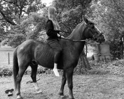 dressage horse Delorian (Westphalian, 2001, from Davignon I)