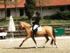 Dressurpferd Coconut (Deutsches Reitpony, 2006, von FS Champion de Luxe)