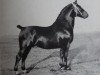 stallion Gerbrant 3536 (Oldenburg, 1933, from Gerolstein 3467)