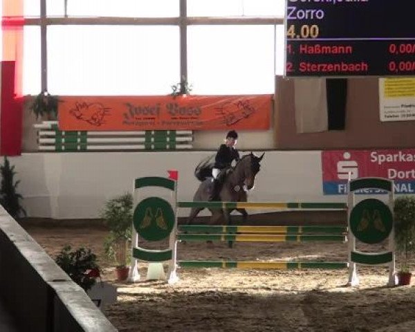 20. Winter Hallen Reit- und Springturnier RFV Alt-Marl 28.-30.12.2012