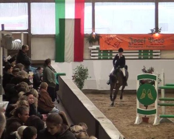 20. Winter Hallen Reit- und Springturnier RFV Alt-Marl 28.-30.12.2012