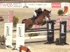 jumper Cassilia 6 (Hanoverian, 2013, from Cassillias)