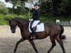 dressage horse Believe in Me 15 (Oldenburg, 2017, from Bordeaux 28)