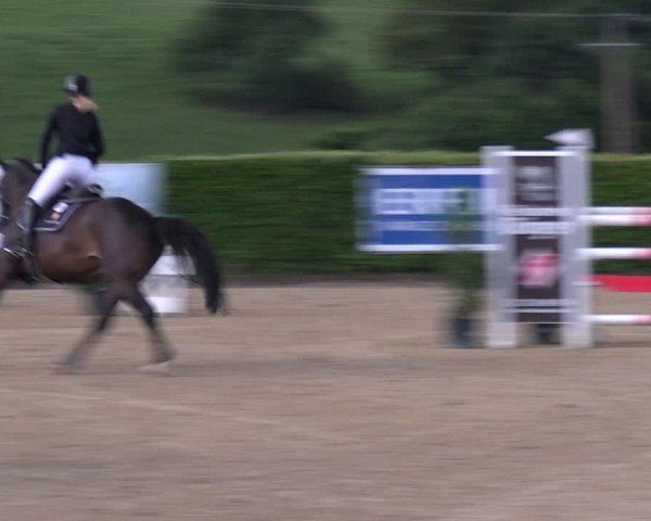 Reitturnier Lindlar-Süttenbach 2024