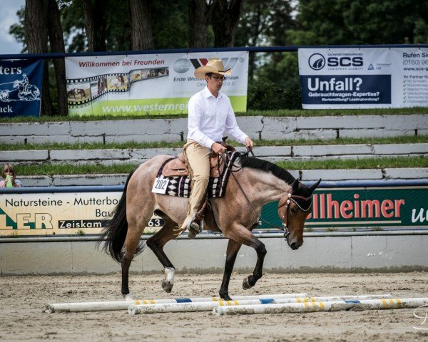 Pferd Blacks Invitation (Quarter Horse, 2012)