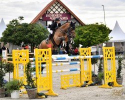 jumper Vana Reval (Oldenburg show jumper, 2016, from Valentino)