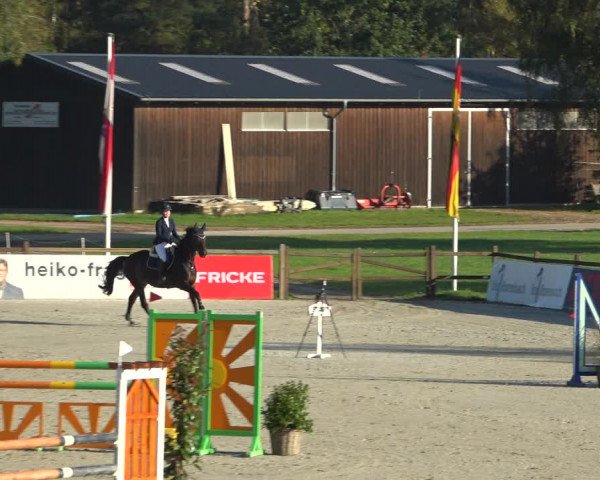Reitturnier Westergellersen 2021