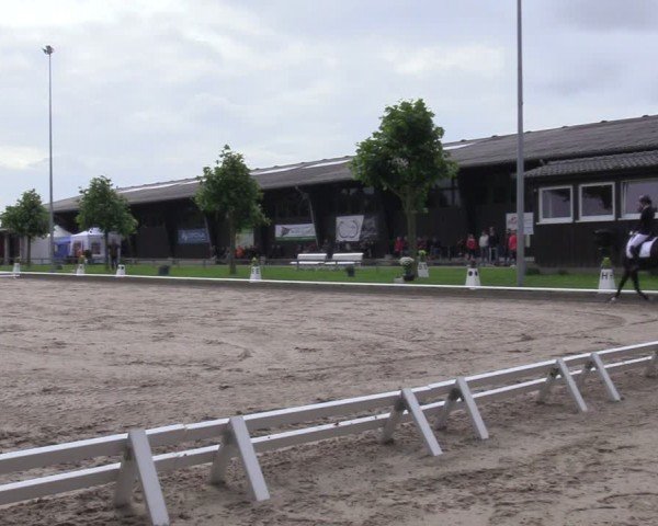 Reitturnier Fröndenberg 2024