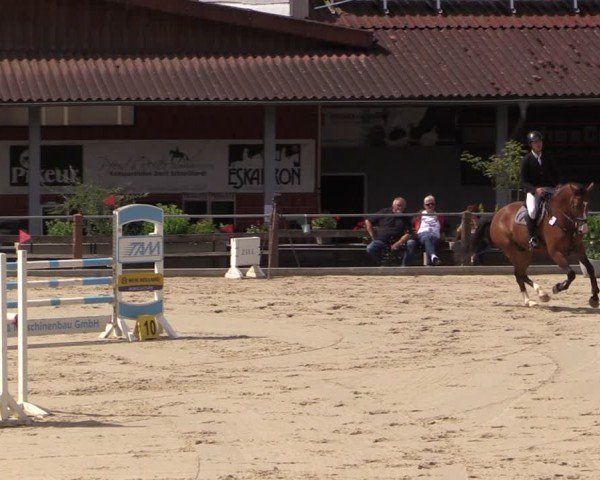 Reitturnier Uder, Reitanlage Kobold 2024