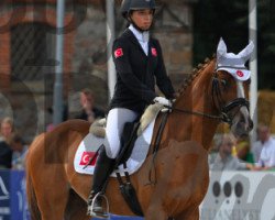 dressage horse Ald Feart's Michael (Nederlands Welsh Ridepony, 2006, from Zico 15)