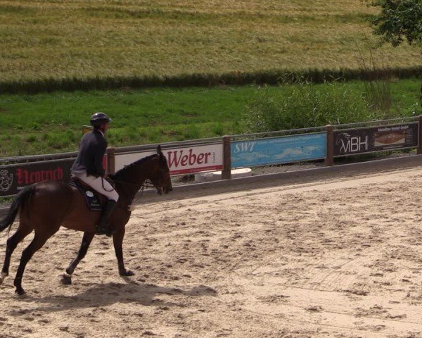 Reitturnier Uder, Reitanlage Kobold 2024