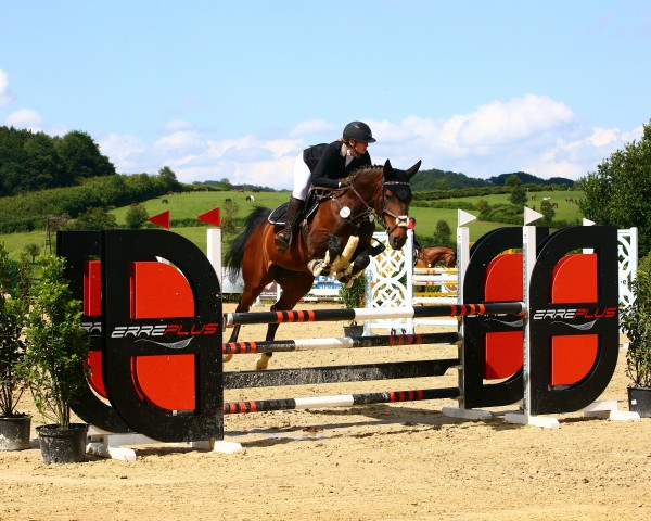 Springpferd Topless van't Gobenhof (Belgisches Warmblut, 2019, von Luigi D'Eclipse)