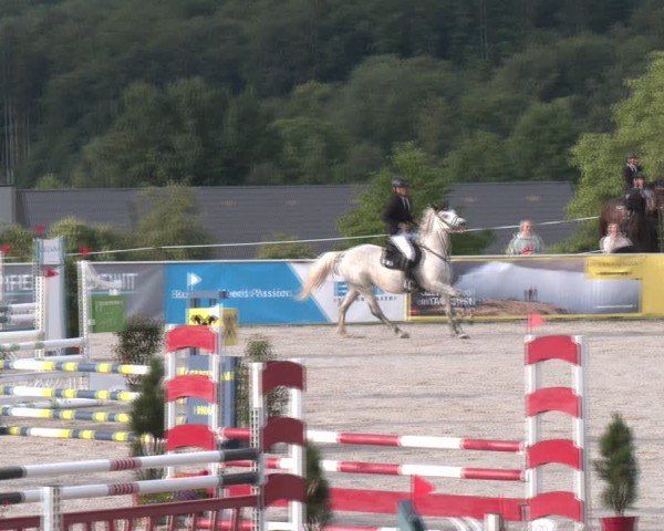 Springturnier Seewalchen 2024