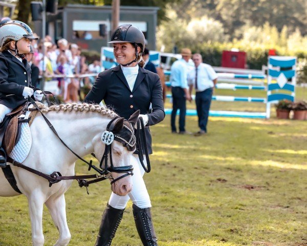 dressage horse Sunny 1162 (Welsh mountain pony (SEK.A), 2014)