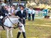 dressage horse Sunny 1162 (Welsh mountain pony (SEK.A), 2014)